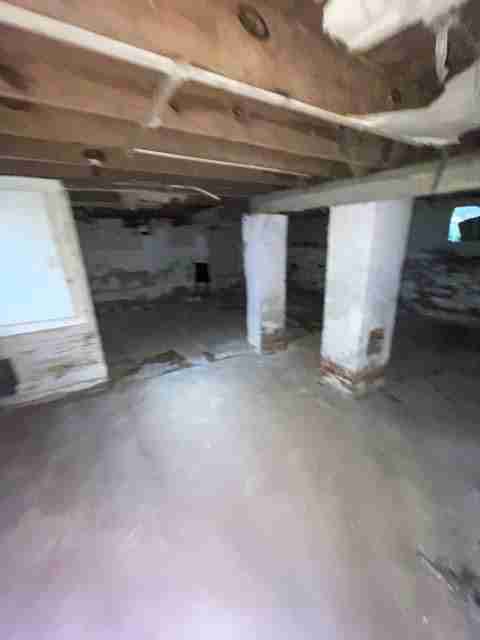 17257 bloom (45).jpg